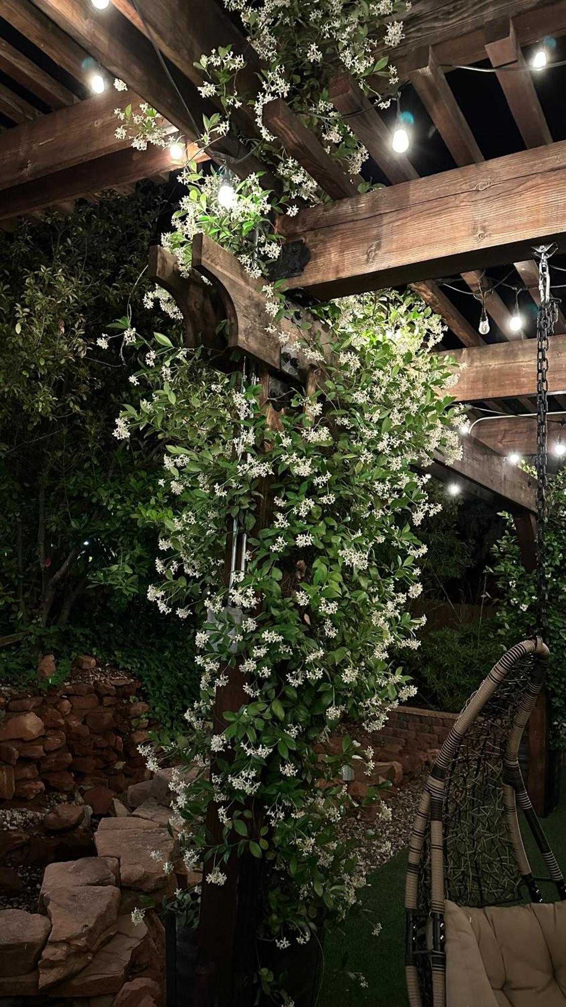 Lantern Light Inn - Romantic Getaway (Adults Only) Sedona Exterior foto